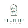 Alumina.webp